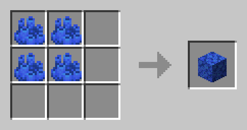 coral block recipe