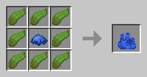 coral recipe